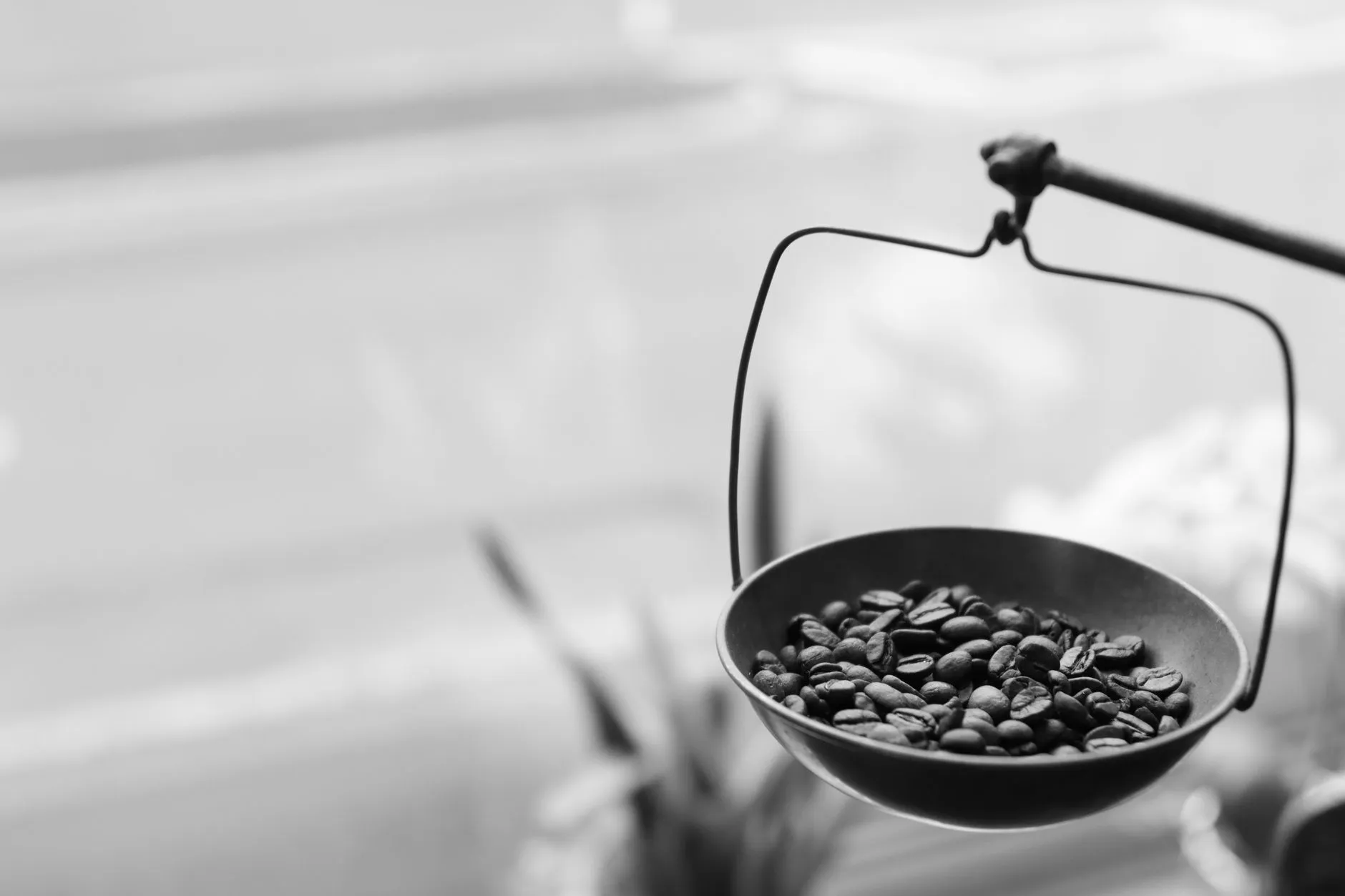 臭氧消毒机在食品加工车间杀菌灭活中的技术优势与操作规范